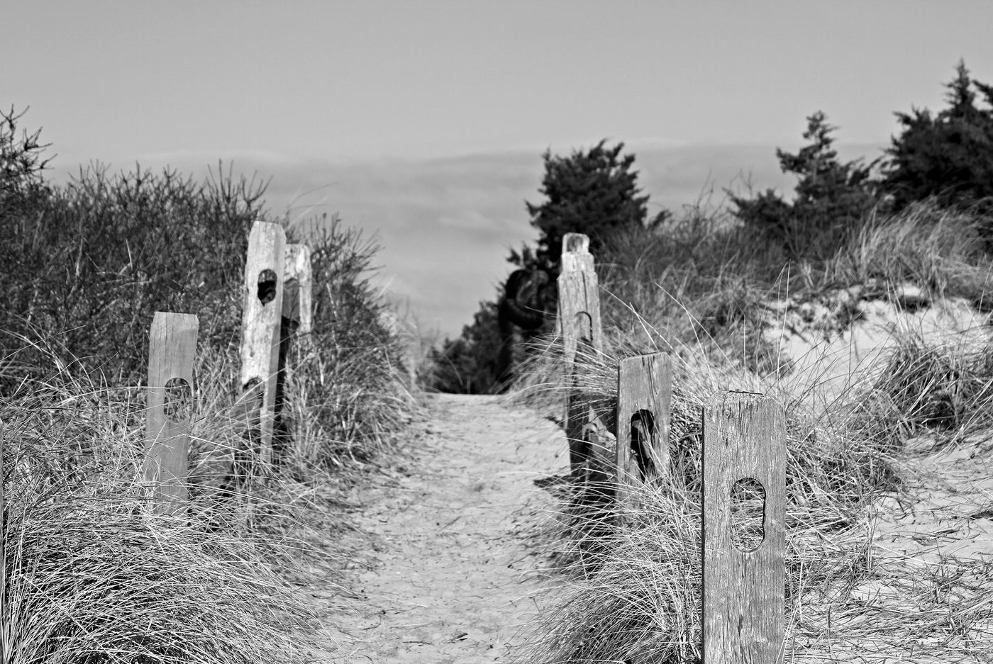 Sandy dune path leading to the beach, Cape Cod