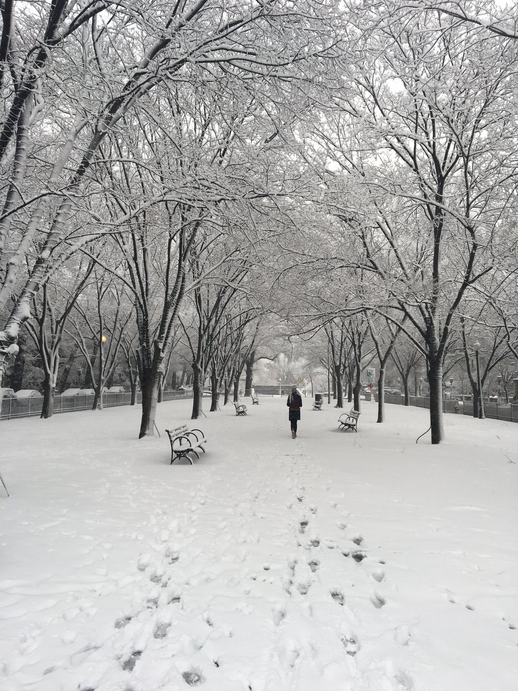 Lone figure walking through snowy Boston Common in winter