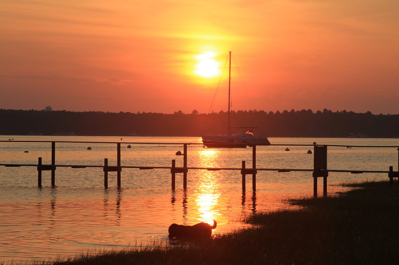 Golden sunset over Osterville harbor, dog silhouette at the dock